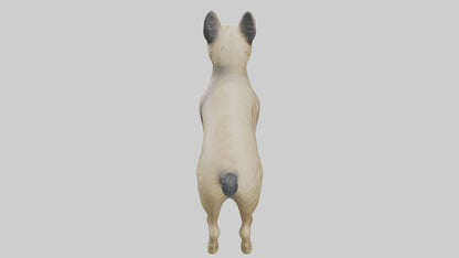 3D model Cairn Terrier standing model VR / AR / low-poly