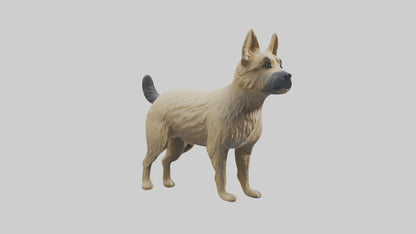 3D model Cairn Terrier standing model VR / AR / low-poly