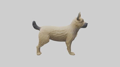 3D model Cairn Terrier standing model VR / AR / low-poly