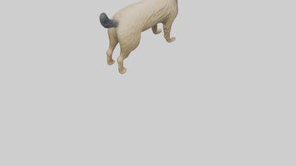 3D model Cairn Terrier standing model VR / AR / low-poly
