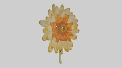 3D model Calendula model VR / AR / low-poly