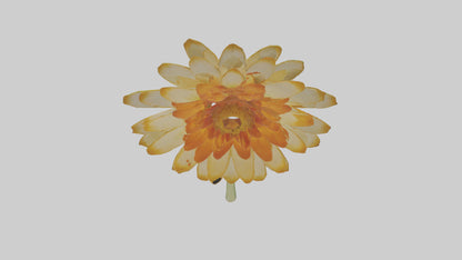 3D model Calendula model VR / AR / low-poly