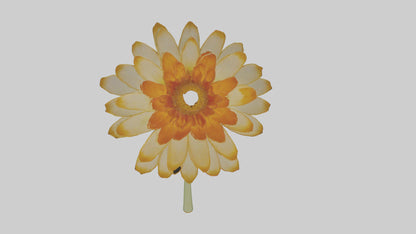 3D model Calendula model VR / AR / low-poly