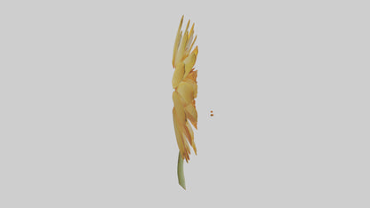 3D model Calendula model VR / AR / low-poly