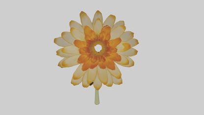 3D model Calendula model VR / AR / low-poly