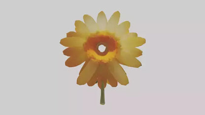 3D model Calendula model VR / AR / low-poly