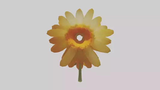 3D model Calendula model VR / AR / low-poly