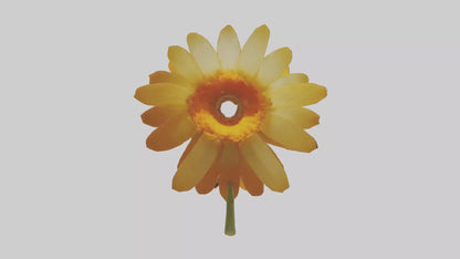 3D model Calendula model VR / AR / low-poly