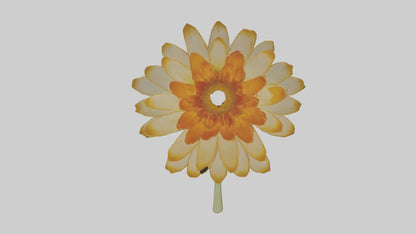 3D model Calendula model VR / AR / low-poly