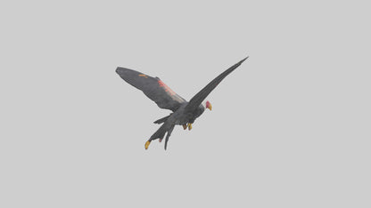 3D model California Condor gliding model VR / AR / low-poly