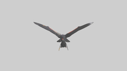 3D model California Condor gliding model VR / AR / low-poly