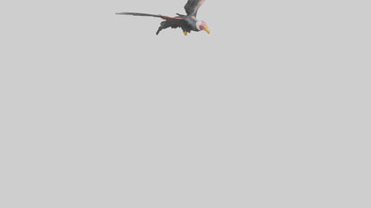 3D model California Condor gliding model VR / AR / low-poly