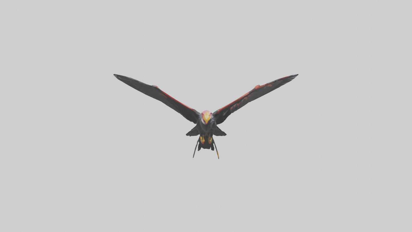 3D model California Condor gliding model VR / AR / low-poly