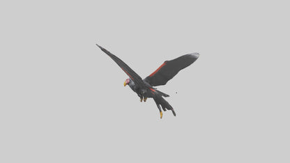 3D model California Condor gliding model VR / AR / low-poly