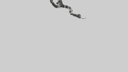 3D model California King Snake slithering model VR / AR / low-poly