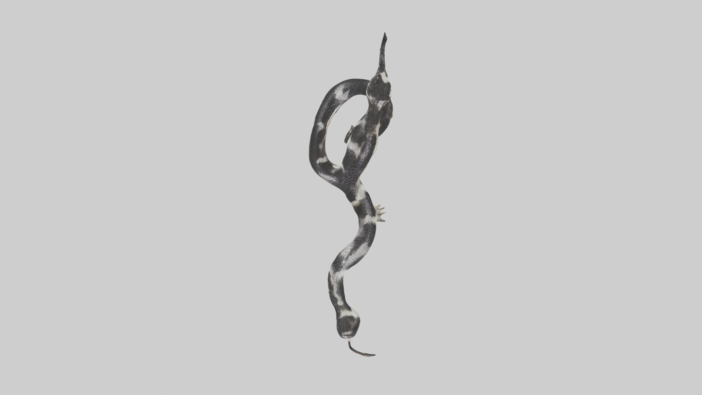 3D model California King Snake slithering model VR / AR / low-poly