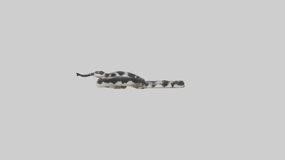 3D model California King Snake slithering model VR / AR / low-poly