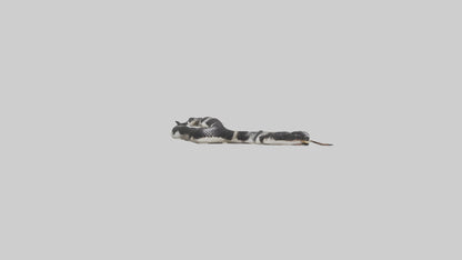 3D model California King Snake slithering model VR / AR / low-poly