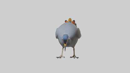 3D model California Quail scratching model VR / AR / low-poly