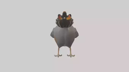 3D model California Quail scratching model VR / AR / low-poly