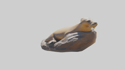 3D model California Sea Lion sunbathing model VR / AR / low-poly