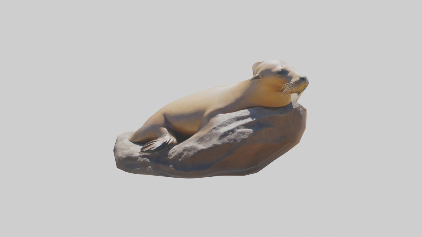 3D model California Sea Lion sunbathing model VR / AR / low-poly