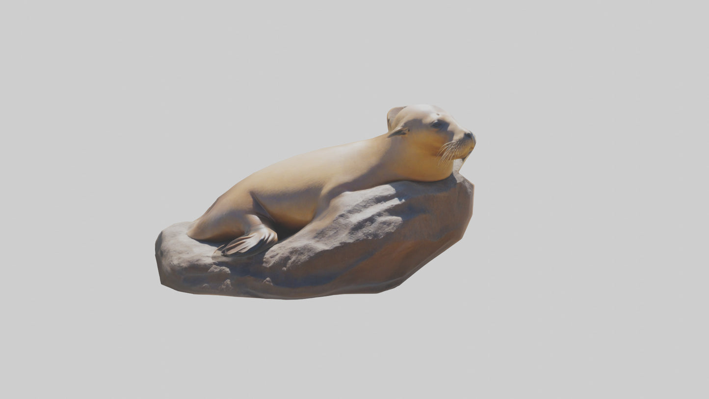 3D model California Sea Lion sunbathing model VR / AR / low-poly