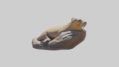 3D model California Sea Lion sunbathing model VR / AR / low-poly