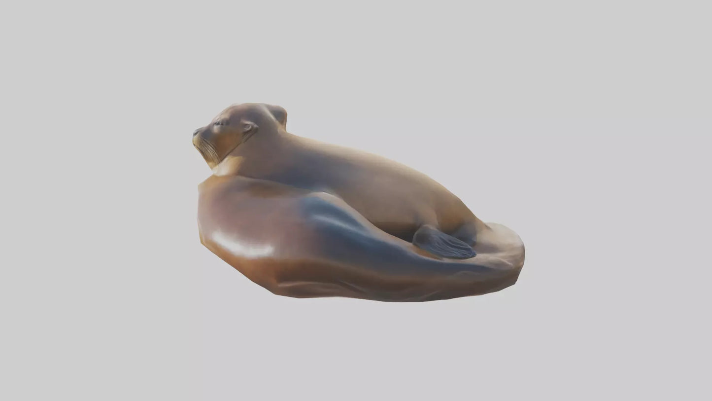 3D model California Sea Lion sunbathing model VR / AR / low-poly