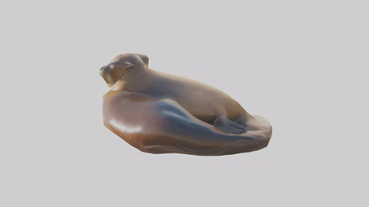 3D model California Sea Lion sunbathing model VR / AR / low-poly