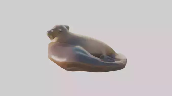 3D model California Sea Lion sunbathing model VR / AR / low-poly