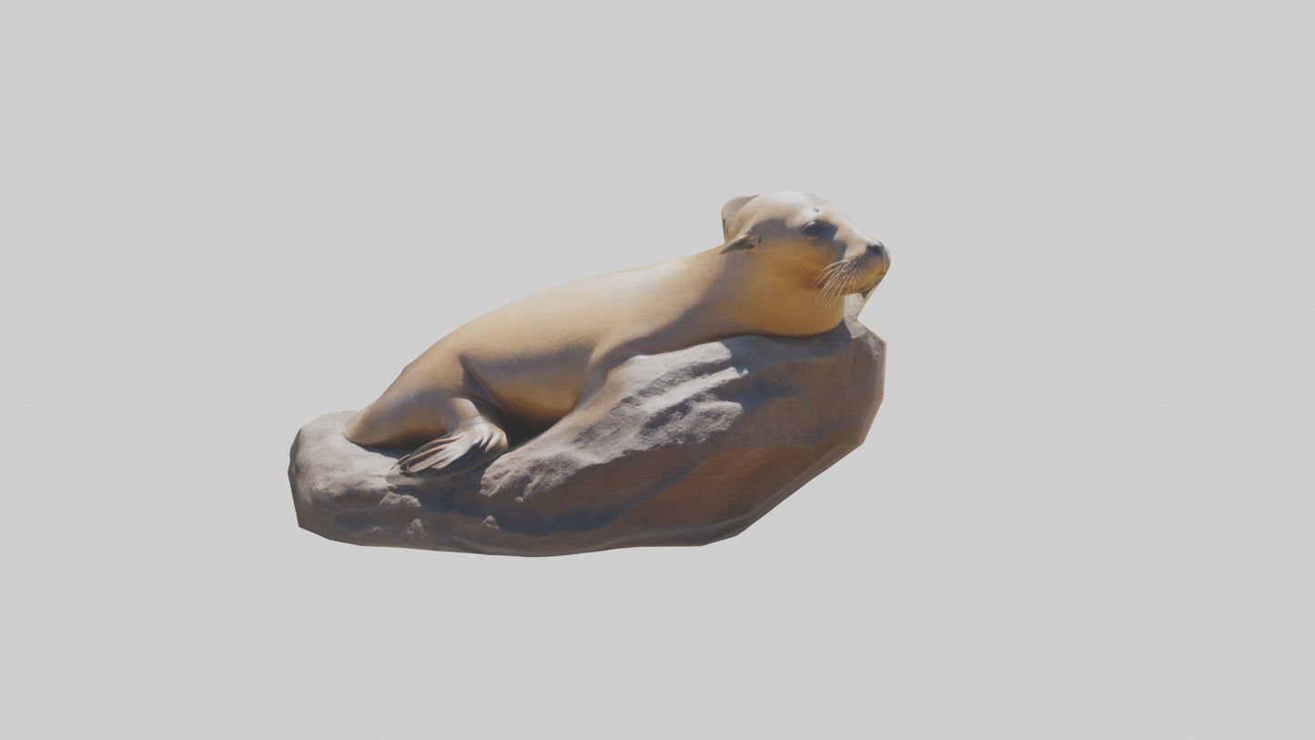 3D model California Sea Lion sunbathing model VR / AR / low-poly