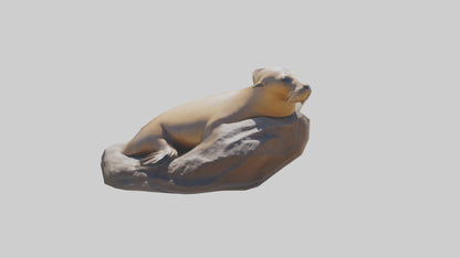 3D model California Sea Lion sunbathing model VR / AR / low-poly