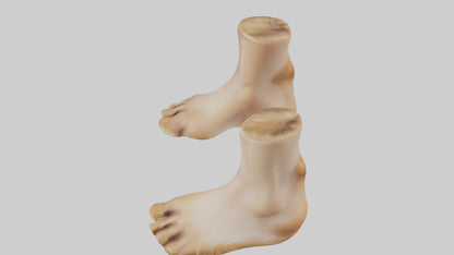 3D model Camel Feet Model VR / AR / low-poly