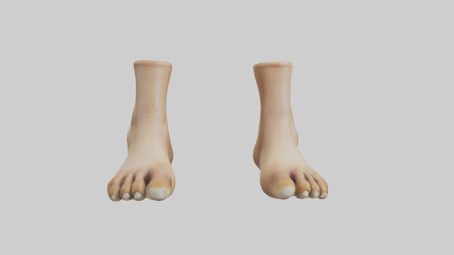 3D model Camel Feet Model VR / AR / low-poly
