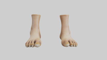 3D model Camel Feet Model VR / AR / low-poly