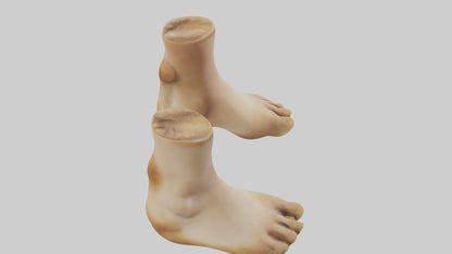 3D model Camel Feet Model VR / AR / low-poly