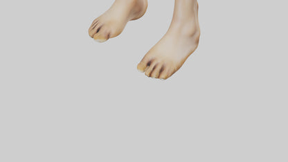 3D model Camel Feet Model VR / AR / low-poly