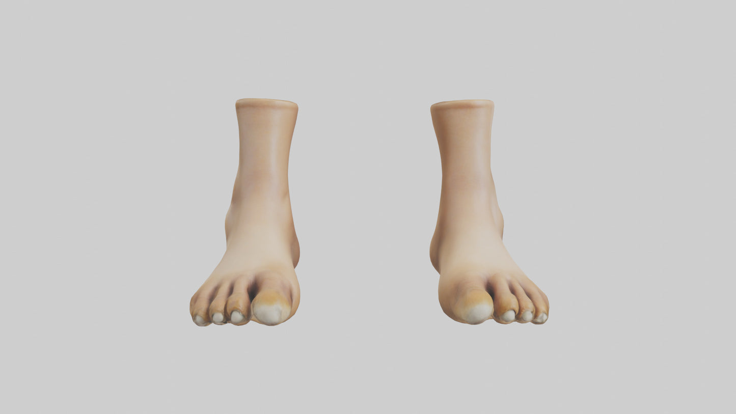 3D model Camel Feet Model VR / AR / low-poly