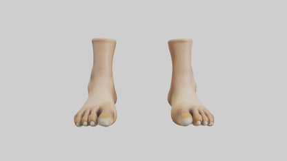 3D model Camel Feet Model VR / AR / low-poly
