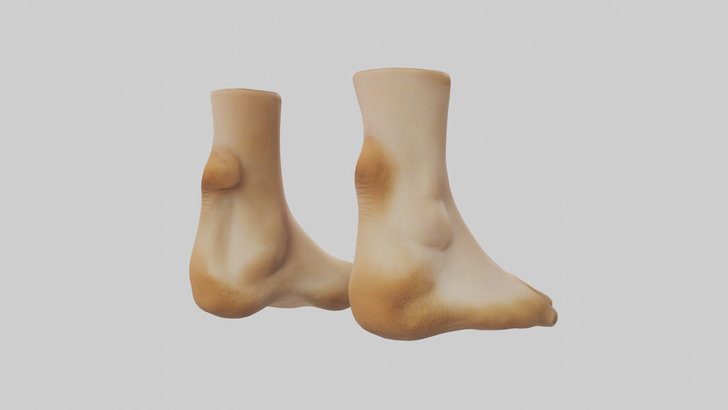 3D model Camel Feet Model VR / AR / low-poly
