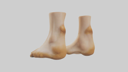 3D model Camel Feet Model VR / AR / low-poly