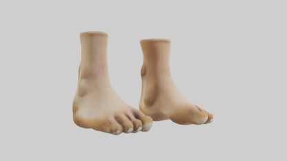 3D model Camel Feet Model VR / AR / low-poly