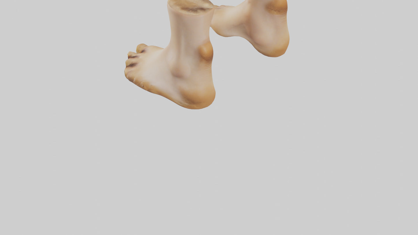 3D model Camel Feet Model VR / AR / low-poly