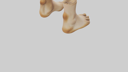 3D model Camel Feet Model VR / AR / low-poly