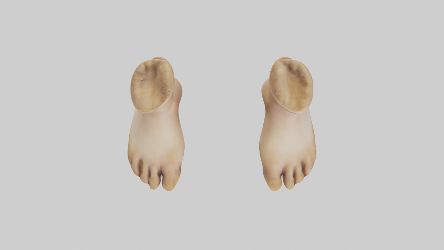 3D model Camel Feet Model VR / AR / low-poly