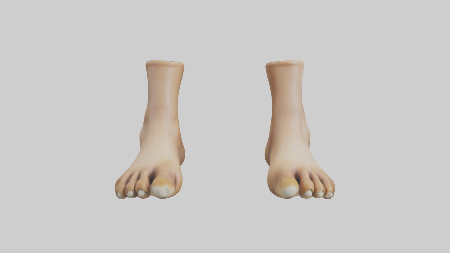 3D model Camel Feet Model VR / AR / low-poly