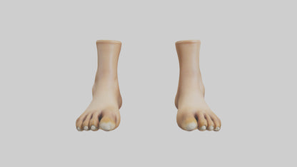 3D model Camel Feet Model VR / AR / low-poly