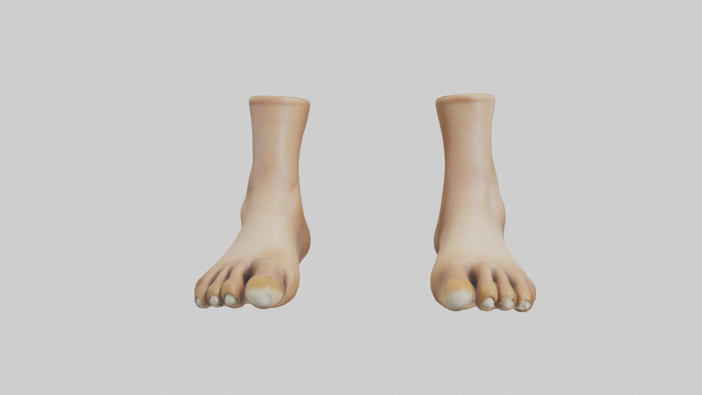 3D model Camel Feet Model VR / AR / low-poly
