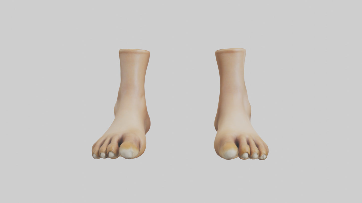 3D model Camel Feet Model VR / AR / low-poly
